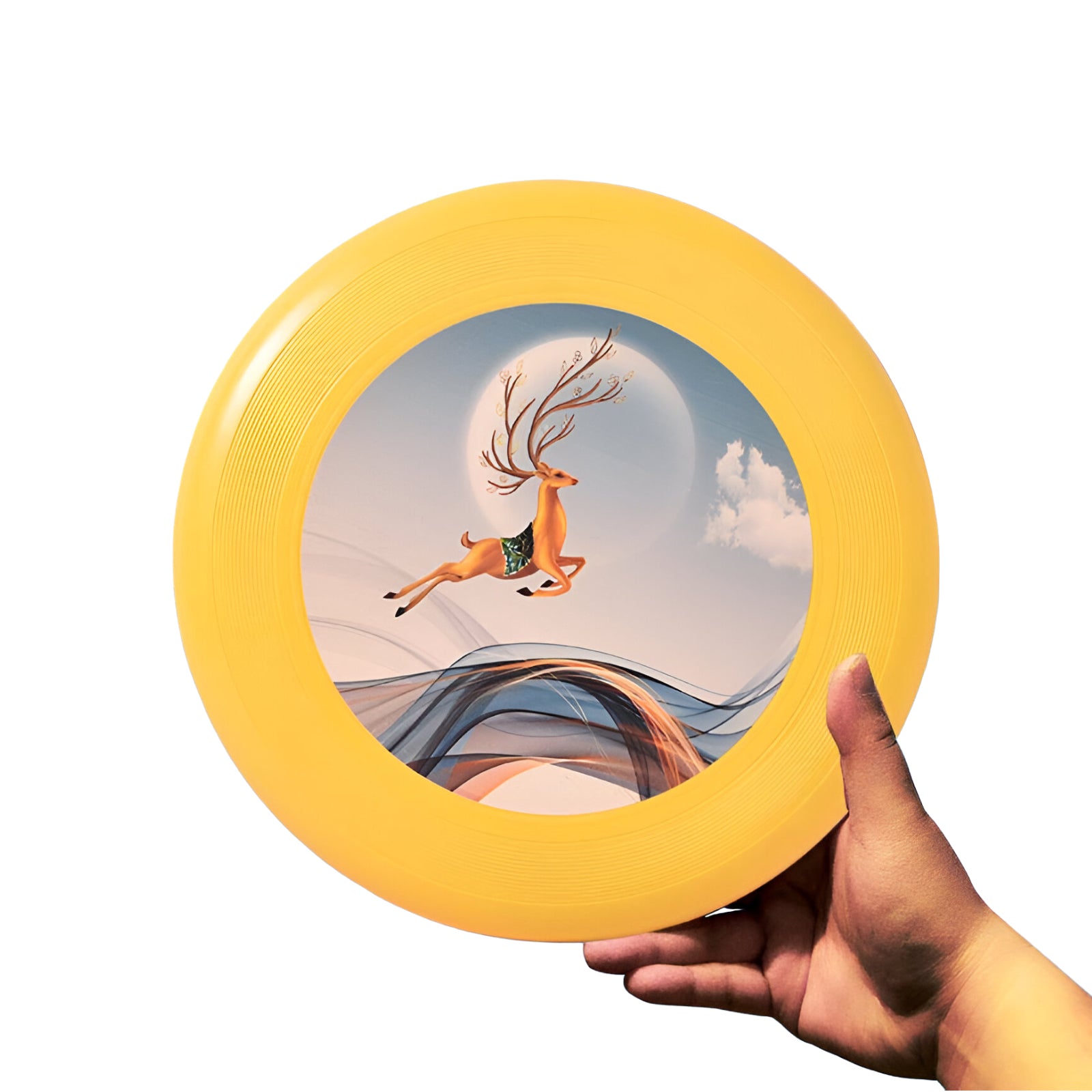 CFI01 PE Frisbee