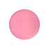 CFI01 PE Frisbee